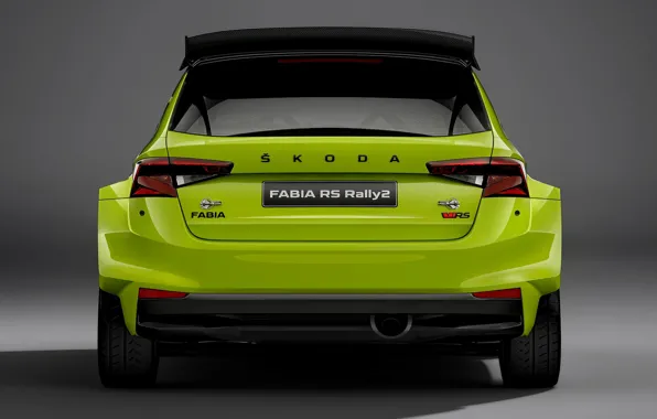 Картинка вид сзади, Skoda, 2022, Rally2, Fabia RS