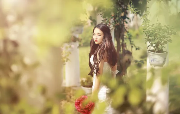 Девушка, фон, азиатка