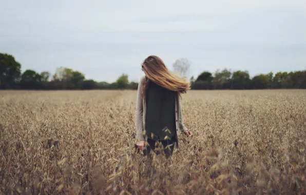 Поле, лес, волосы, крыло, forest, field, hair, wing