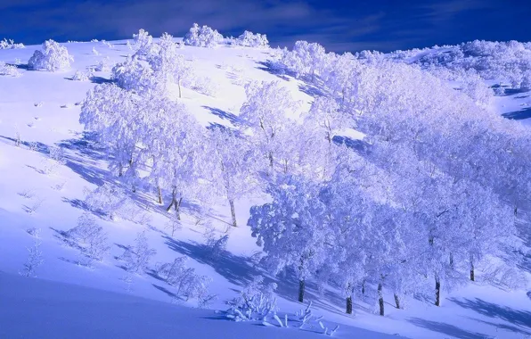 Картинка зима, небо, снег, деревья, холмы, склон