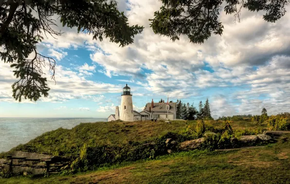 Картинка ветки, океан, маяк, залив, Maine, Мэн, Pemaquid Point Lighthouse, Bristol