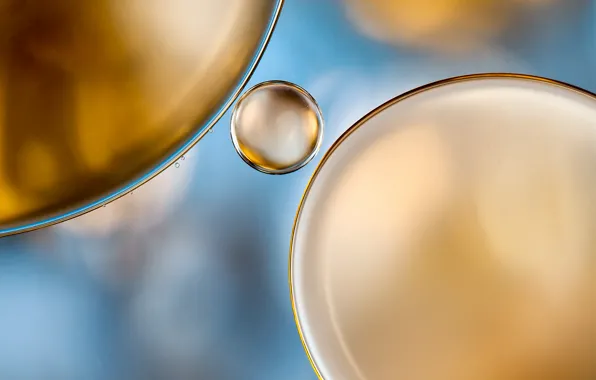 Картинка вода, пузырьки, цвет, масло, жидкость, воздух, объем