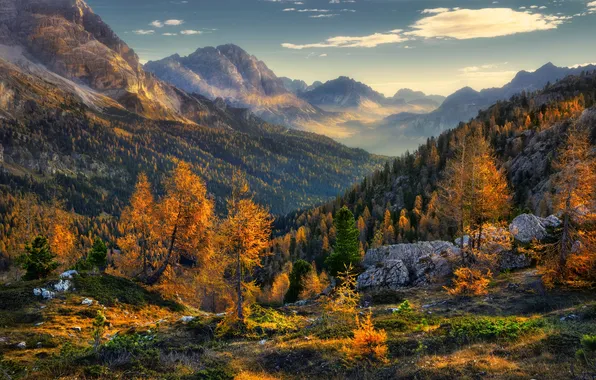 Картинка осень, лес, деревья, пейзаж, горы, природа