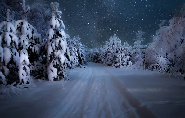 Картинка зима, дорога, лес, небо, снег, деревья, снежинки, ночь