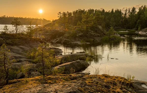 Лес, солнце, камни, водоем