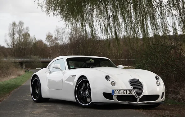 Wiesmann, White, MF5