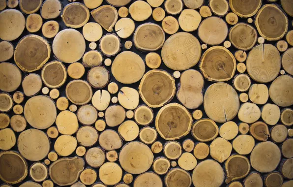 Wall, wood, texture, pattern