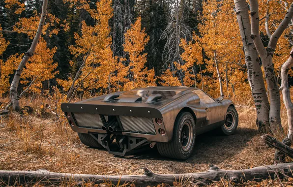 Картинка лес, транспорт, бревно, автомобиль, 1966 Ford GT40 MkII