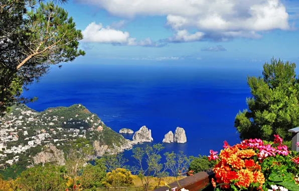 Картинка море, зелень, небо, деревья, пейзаж, цветы, горы, природа, город, скалы, остров, Италия, Italy, провинция, Неаполь, …