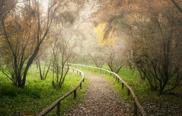 Картинка дорога, пейзаж, парк