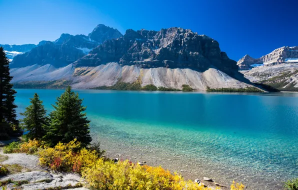 Картинка осень, деревья, горы, озеро, Канада, Альберта, Bow Lake