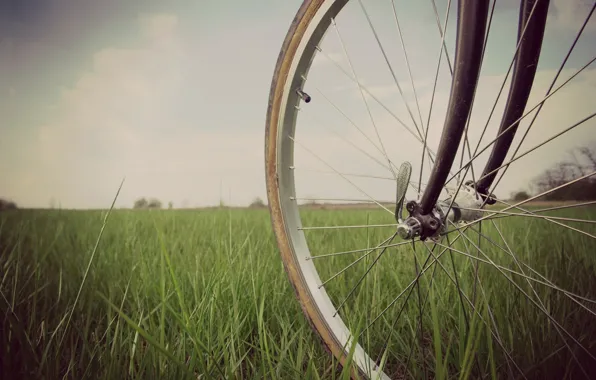Картинка зелень, трава, природа, велосипед, фон, настроения, колесо, широкоформатные