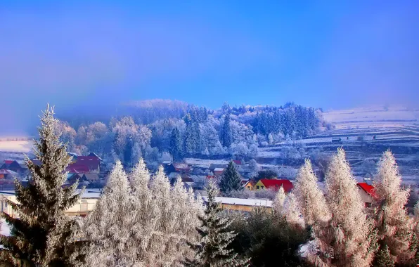 Картинка зима, небо, снег, деревья, дома