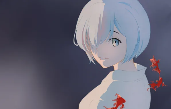 Рыбки, фон, С нуля, Рем, Re Zero Kara Hajimeru Isekai Seikatsu