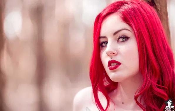 Девушка, модель, Пирсинг, красная помада, красные волосы, Suicide Girls, Brunabruce
