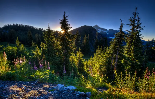 Пейзаж, горы, утро