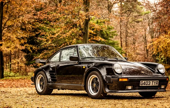 911, Porsche, порше, Coupe, Turbo, 1989, Limited Edition, 930