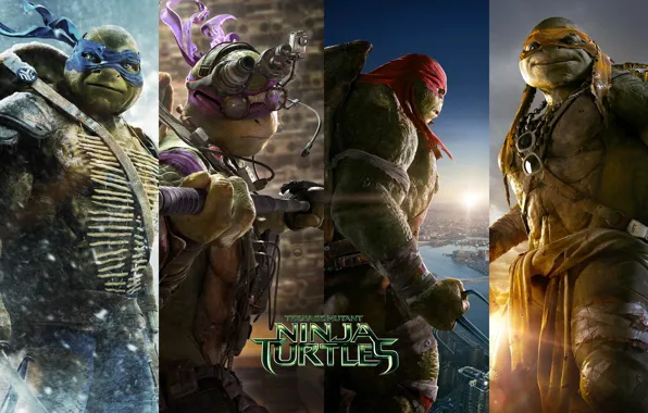 Картинка TMNT, Raphael, Leonardo, Donatello, Донателло, Леонардо, Микеланджело, Teenage Mutant Ninja Turtles