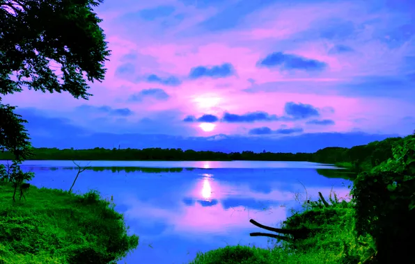 Sky, Sun, Water, Sunrise, Dawn, Morning, Lake, Trees