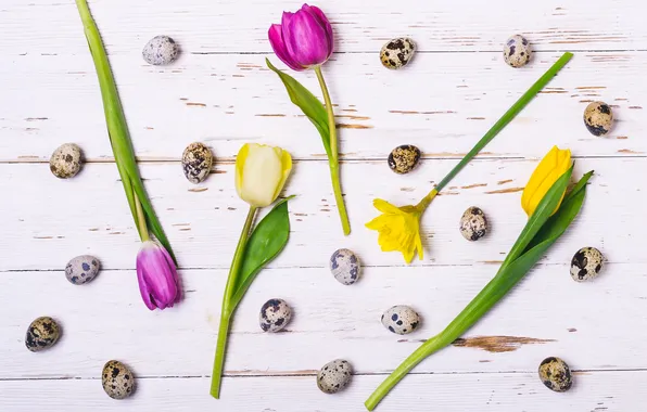 Картинка цветы, яйца, весна, colorful, Пасха, happy, flowers, tulips