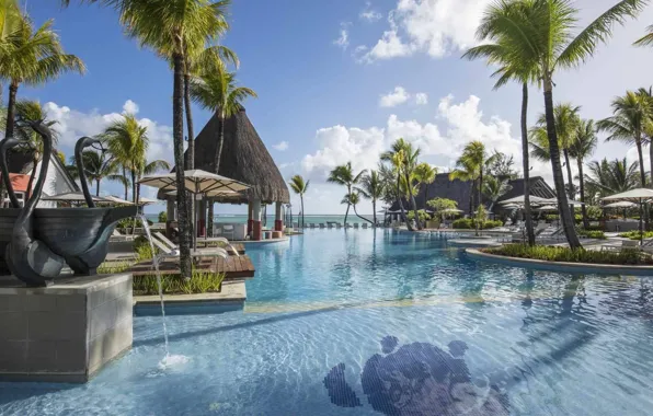Пальмы, океан, бассейн, курорт, Маврикий, Maurícius, Ambre Resort & Spa Hotel