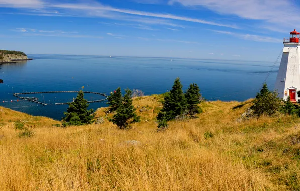 Картинка море, небо, трава, деревья, дом, маяк, панорама, Canada
