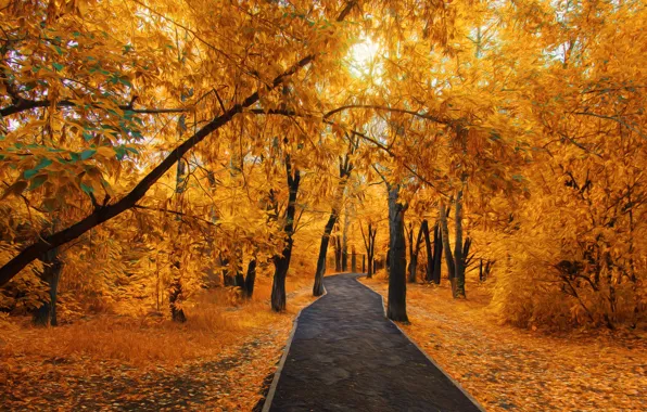 Картинка парк, прогулки, золотая осень, темиртау