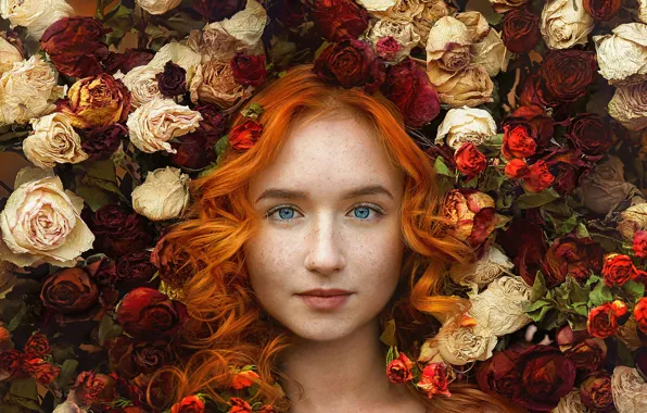 Картинка взгляд, девушка, цветы, лицо, настроение, волосы, розы, веснушки