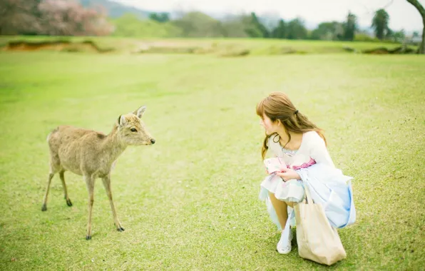 Asian, Model, Woman, Japanese, Outdoor, Deer