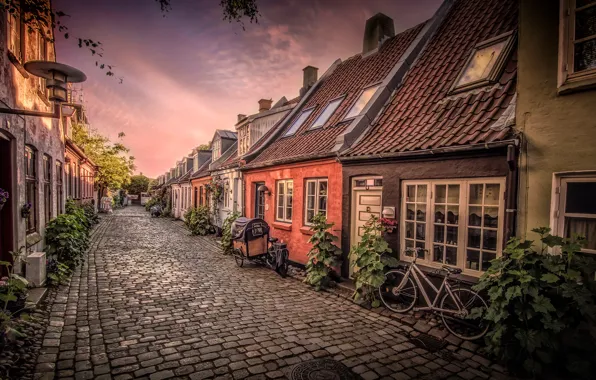 Улица, дома, Дания, велосипеды, Aarhus