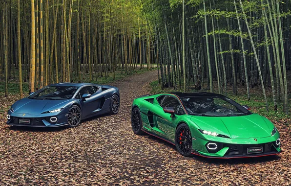 Lamborghini, 2160p, temerario