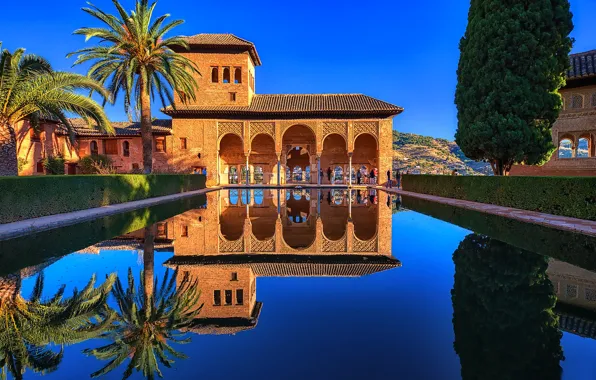 Отражение, пальмы, дерево, бассейн, Испания, дворец, Spain, Гранада