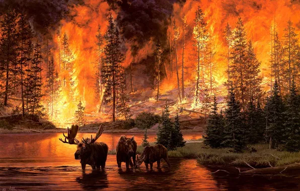 Картинка лес, река, пожар, огонь, арт, лоси, пожар в лесу, Jim Tschetter