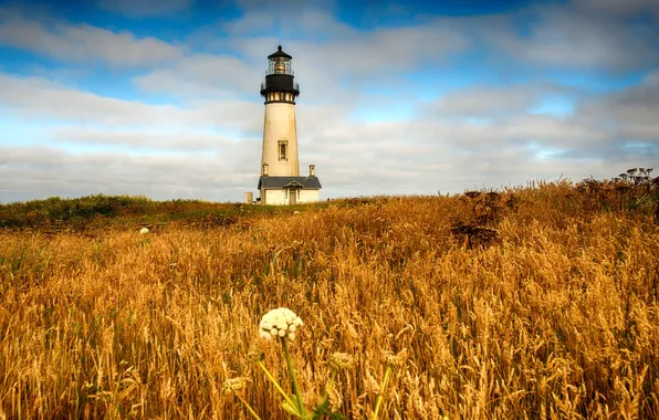 Небо, пейзаж, природа, lighthouse, Newport, Yaquina head light