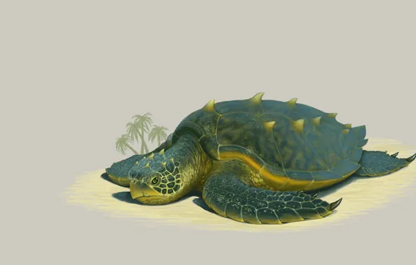 Пляж, черепаха, арт, Illustrator, Grand Sea Turtle, Justen Moore