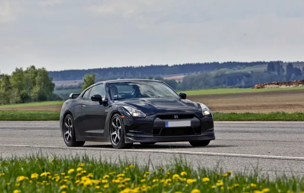 Дорога, поле, R35, Nissan GTR