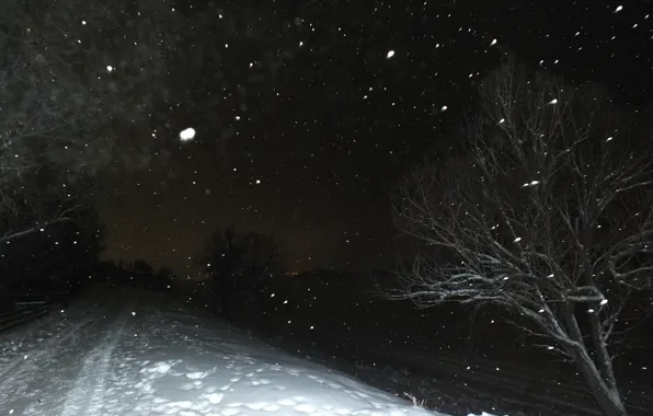 Дорога, снег, ночь, природа, дерево, волга