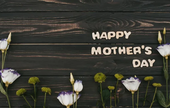 Цветы, white, happy, wood, flowers, эустома, mother's day, eustoma