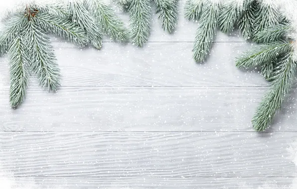 Зима, снег, фон, wood, winter, background, snow, fir tree