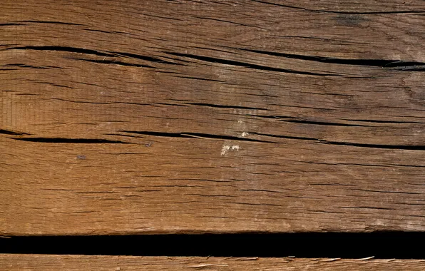 Wood, pattern, black lines, white spot