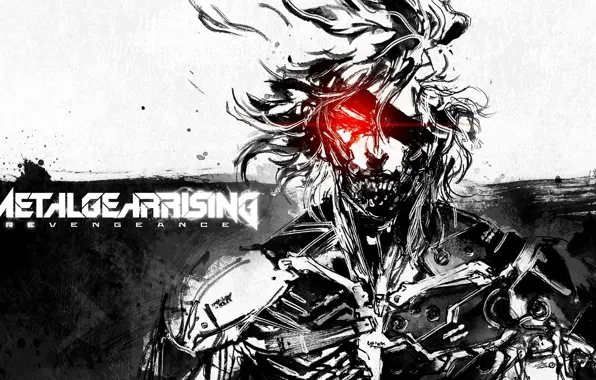 Raiden, Metal Gear Rising, 2014, 2015