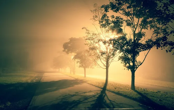 Картинка пейзаж, ночь, город, туман