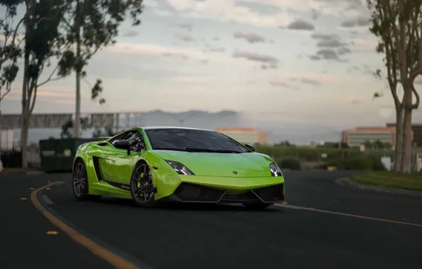 Картинка Lamborghini, Superleggera, Gallardo, Green