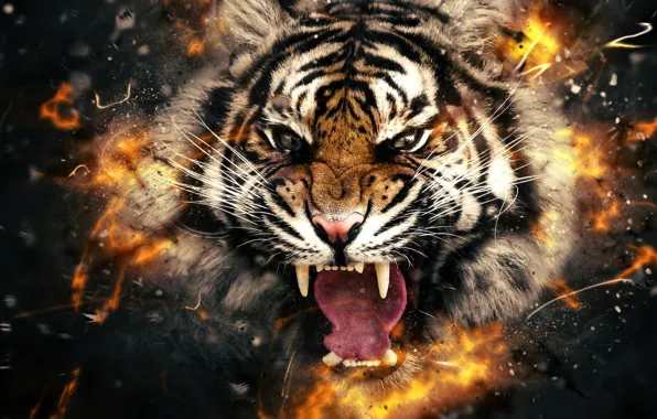 Картинка тигр, огонь, голова