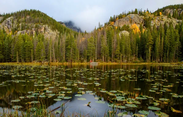 Лес, горы, озеро, скалы, США, Rocky Mountain National Park, Nymph Lake