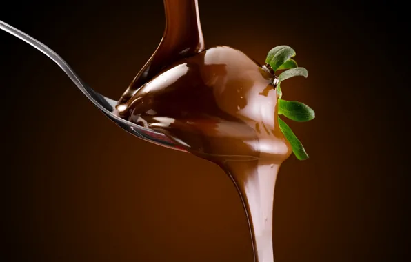 Strawberry, chocolate, spoon, chocolate bath