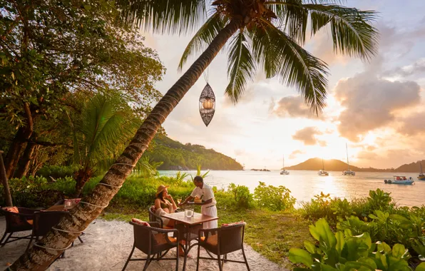 Картинка Пальма, Яхты, Люди, Побережье, Seychelles, Сейшельские острова, Пляж с белым песком, Green Paradise