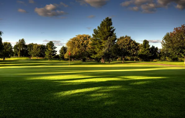 Картинка лето, небо, трава, деревья, природа, поле для гольфа