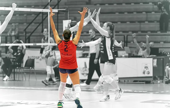 Woman, Sports, volleyball