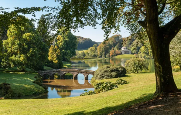 Деревья, мост, озеро, парк, Англия, England, Wiltshire, Уилтшир